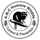 abc-wildlife-logo